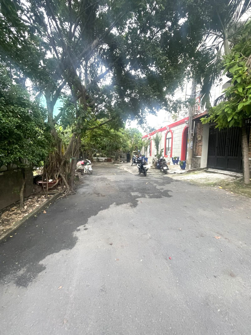 Bán gấp đất full thổ đẹp 235m² – đường 8m – gần Hiệp Bình – SHR – giá chỉ 72 triệu/m² - Ảnh 3